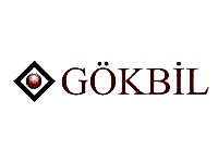 Google İlk Sayfada Çıkmak - Gokbil