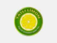 Seo Danışmanı - Tatlı Limon